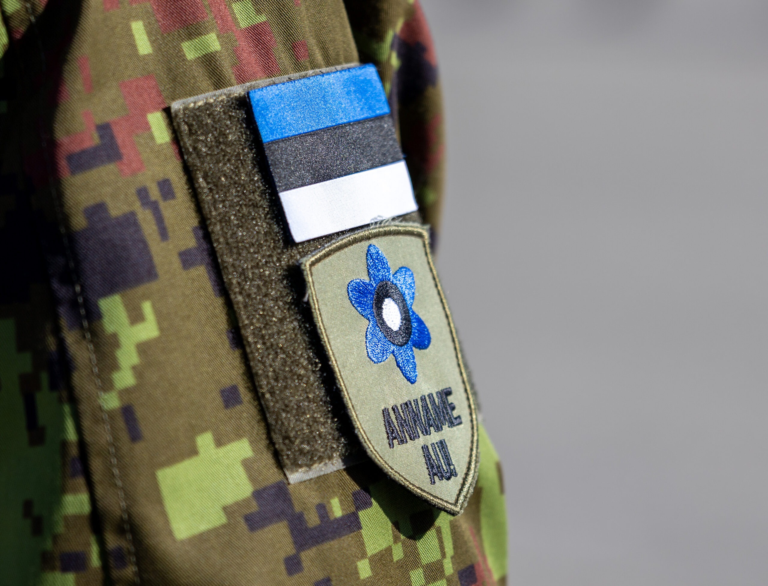 Selle aasta aprillis kinnitasid Sinilillekampaania annetajad juba kolmeteistkümnendat korda oma rinnale sinilillemärgi, avaldades nii austust Eesti vabaduse ees
